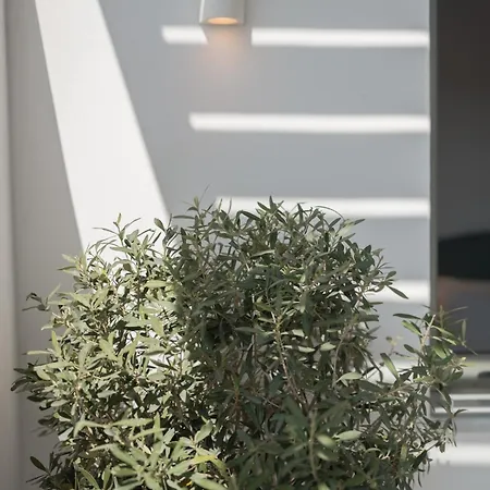 Feriehus Luaz Naxian Living Naxos City